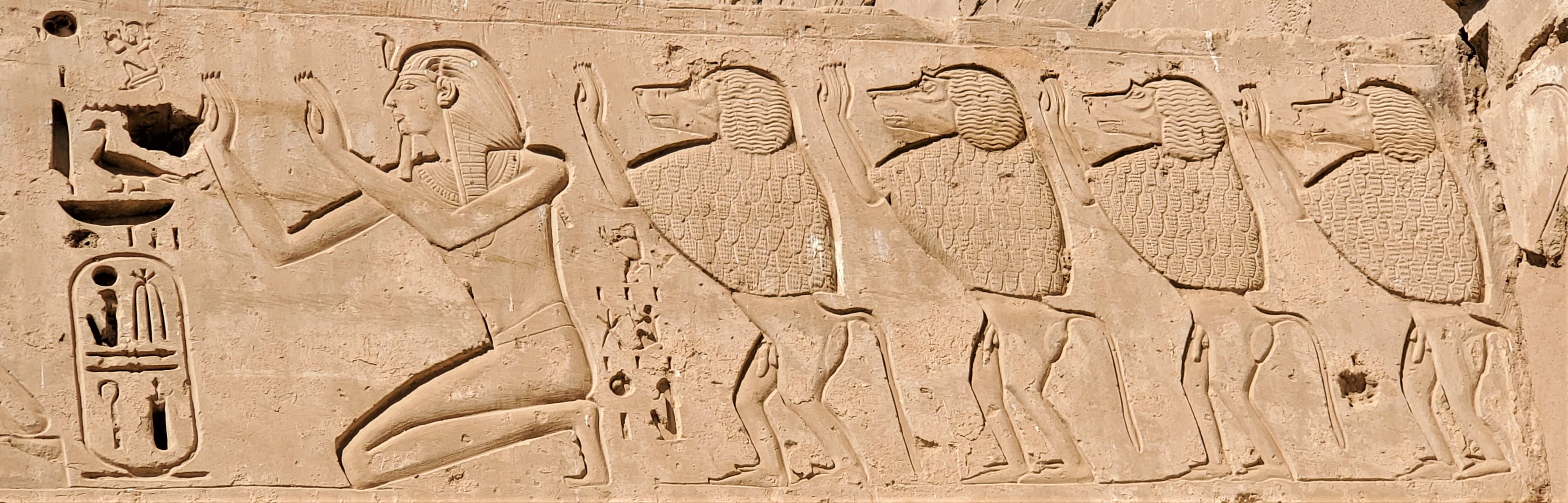 wall carving of baboons